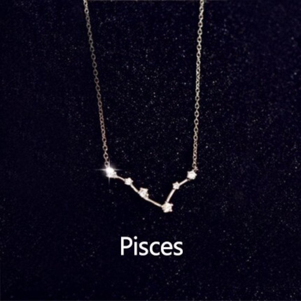 NEW Silver Zodiac Necklace - Pisces